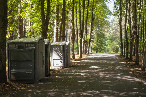 Best Luxury portable toilet rental  in Bad Axe, MI